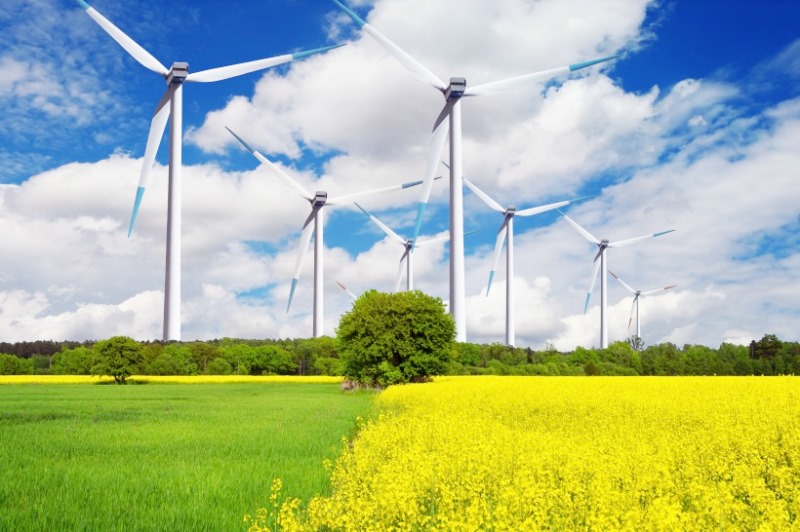 中國(guó)電信（安徽）大數(shù)據(jù)產(chǎn)業(yè)園110kV變電站（二期）項(xiàng)目竣工環(huán)境保護(hù)驗(yàn)收調(diào)查報(bào)告公示